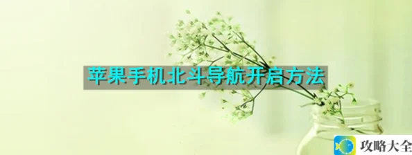 苹果手机北斗导航开启方法